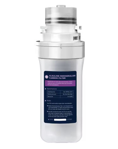 Filter Replacement Service